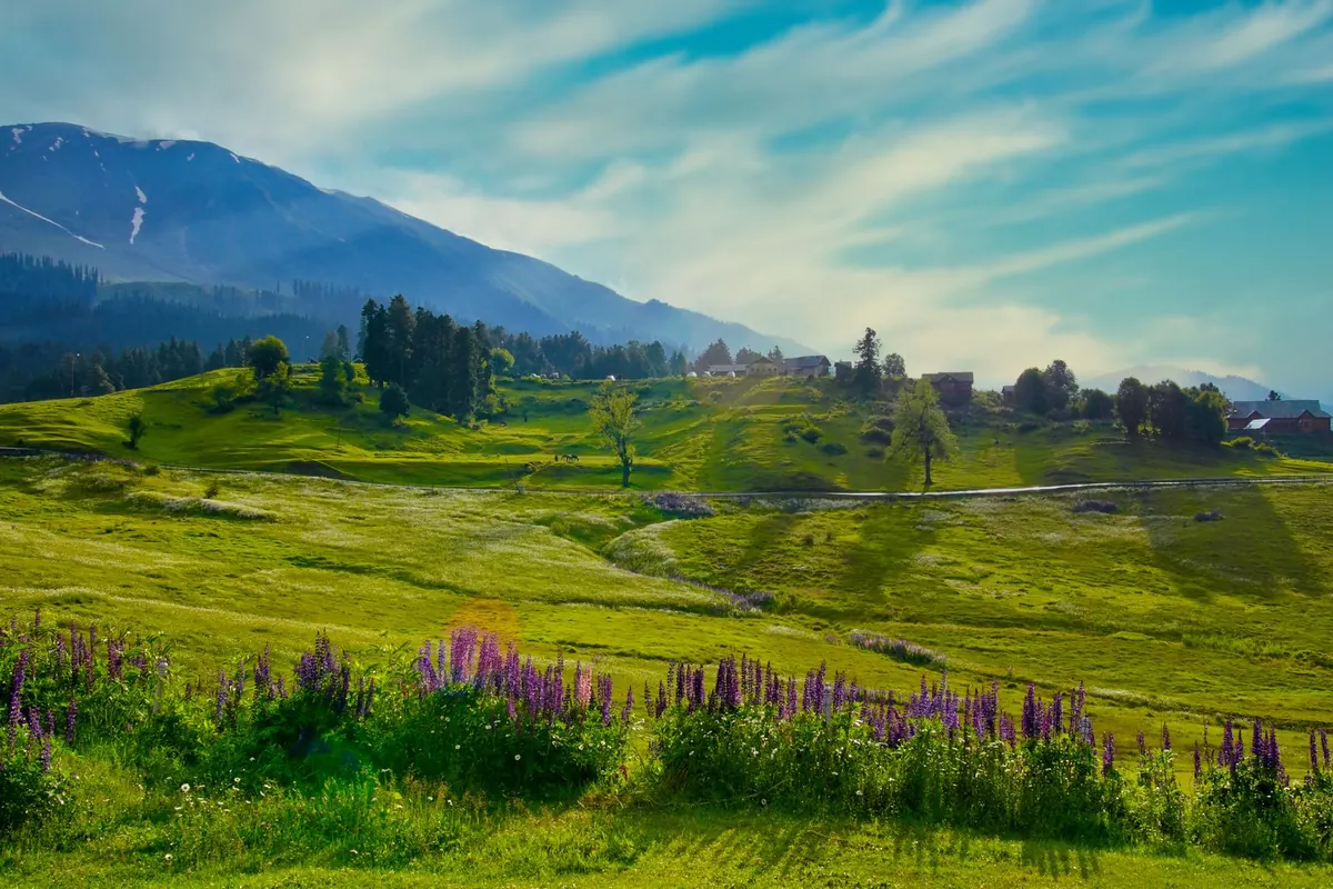 Green mountain meadow with wildflowers and distant peaks in Kashmir, the kind of day-trip landscape families plan from Srinagar