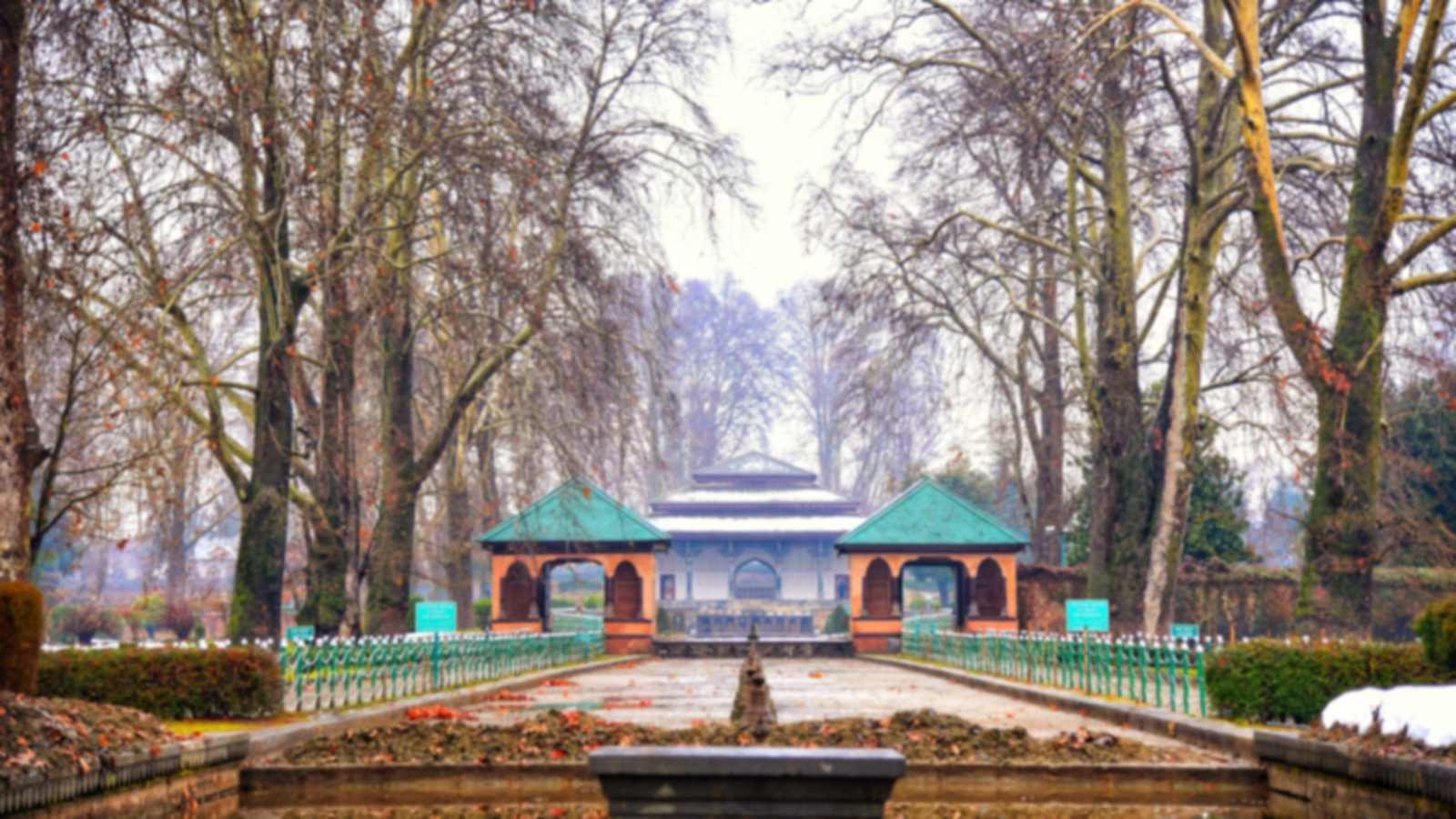 Shalimar Bagh in Srinagar in late autumn with bare chinar trees