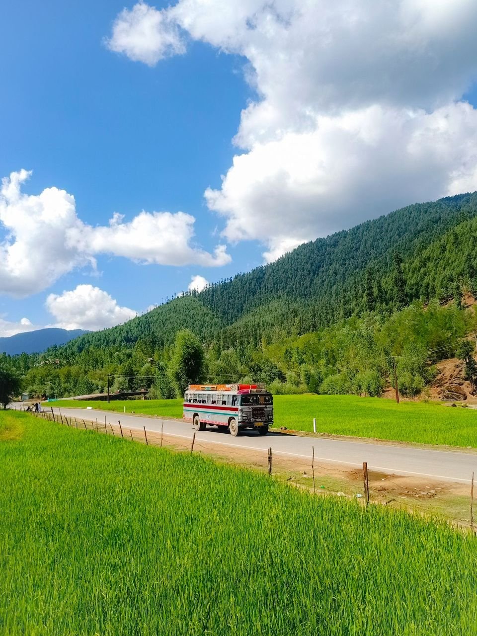 Bus on a valley road in Kashmir with green paddy fields and pine hills