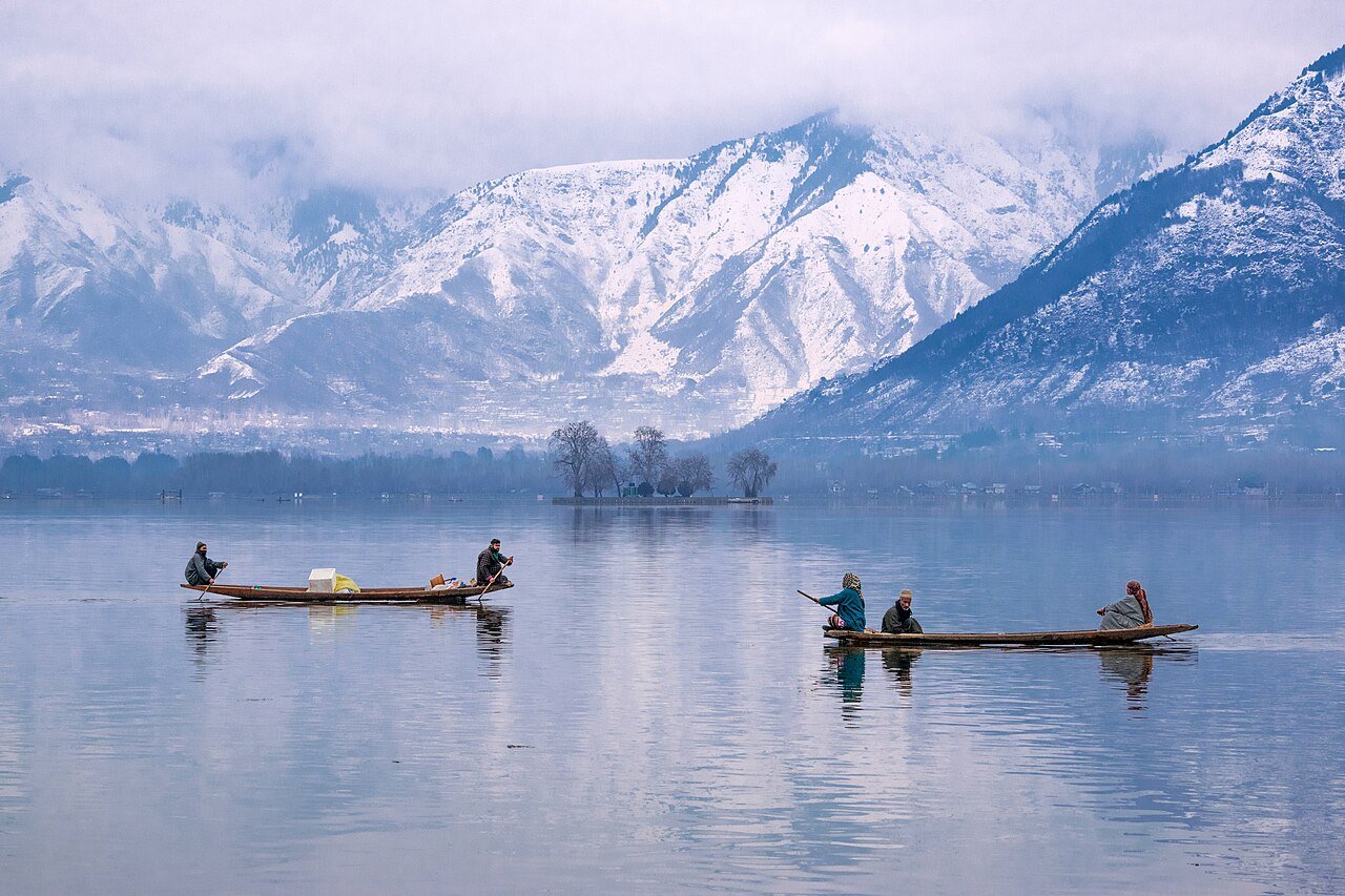 Chinar trees by Dal Lake