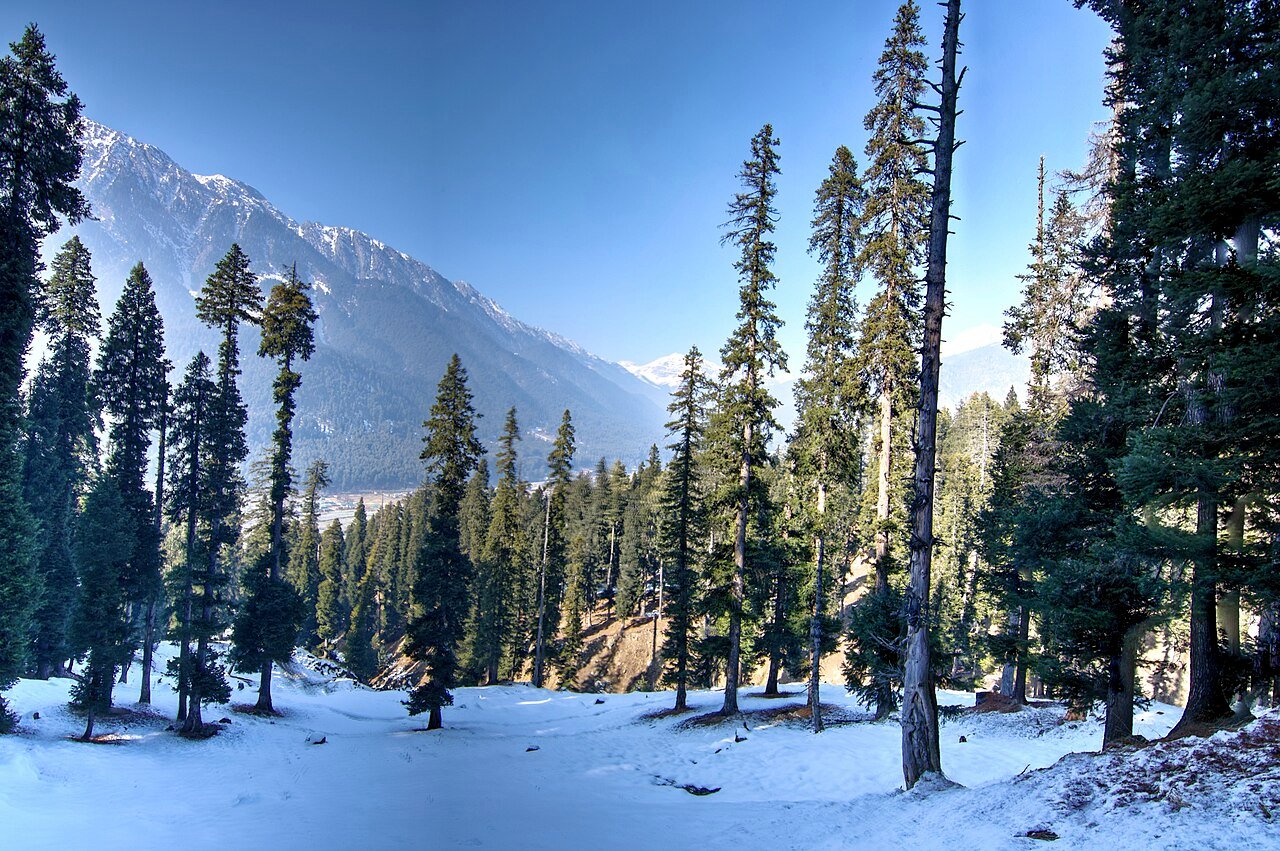 Trek through Kashmir Valley near Pahalgam